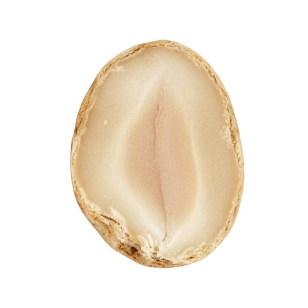 Délicieuses cacahuètes