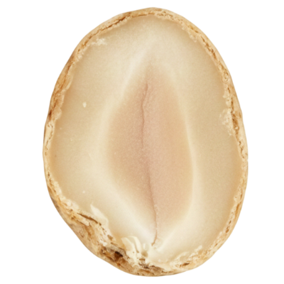 Délicieuses cacahuètes